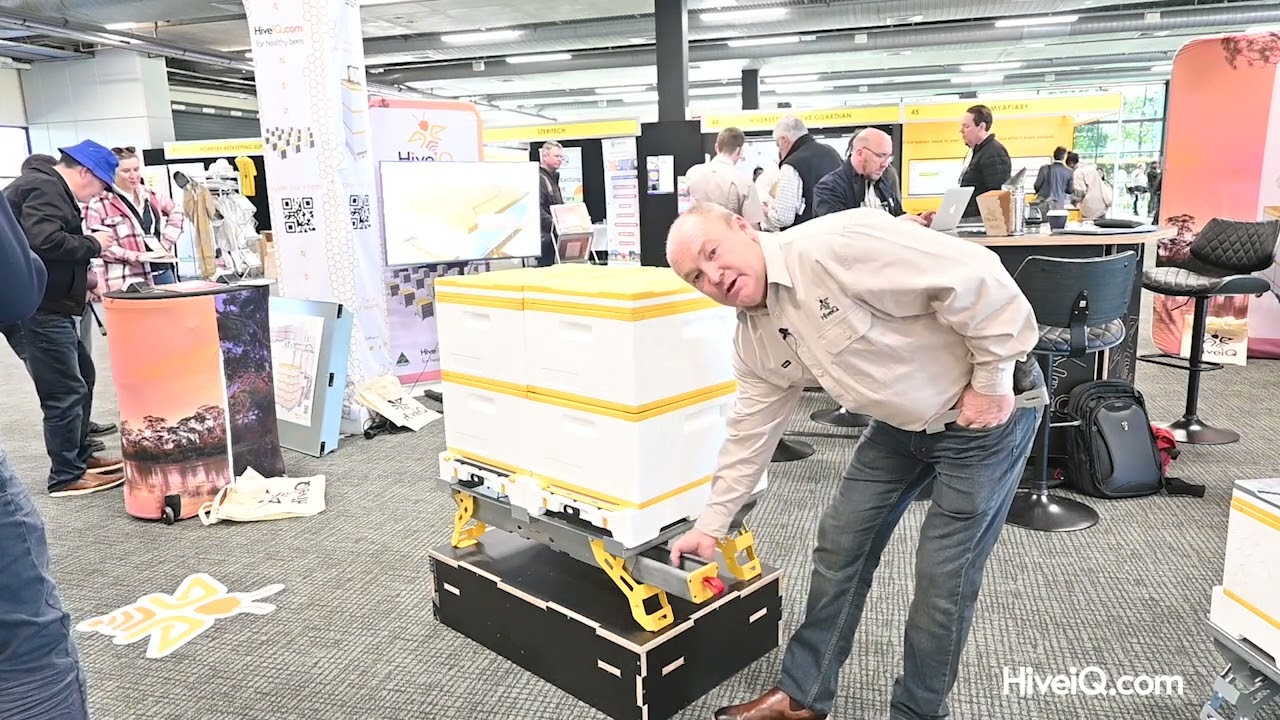 The double hive pallet