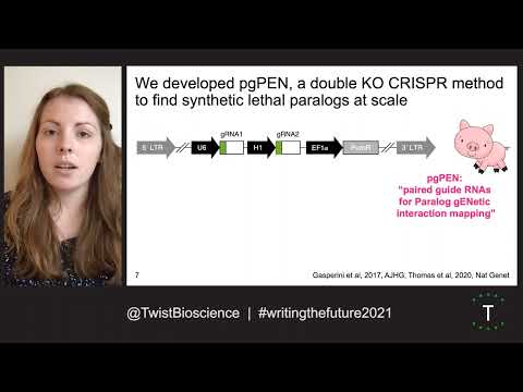 Discovery of Synthetic Lethal Paralog Pairs in the Human Genome  | Phoebe Parrish