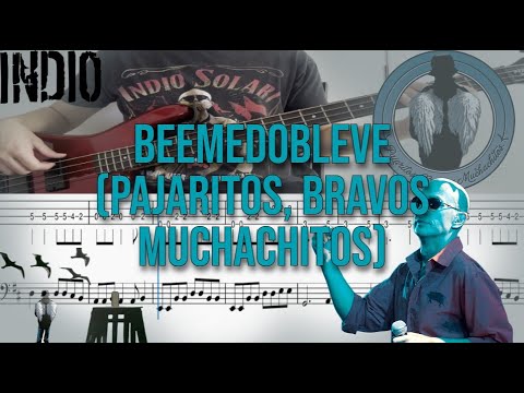 Beemedobleve - Indio Solari (bajo cover + TABS + PARTITURA)