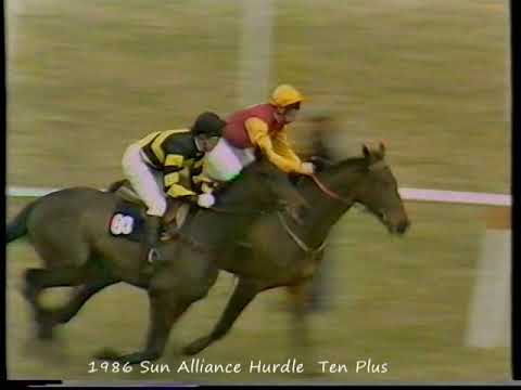 1986 Sun Alliance Novice's Hurdle  Ten Plus