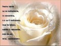 Actual - Iubirea 