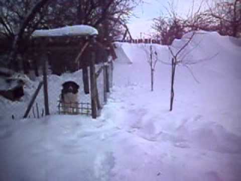 NAMETI CAT GARDU LA CATUNU TELEORMAN