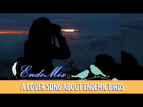 Alexa Explains: "EndeMix" A Cover Song About Endemic Birds of Costa Rica