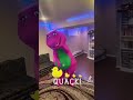 How Many Duck Do You See Subscribe