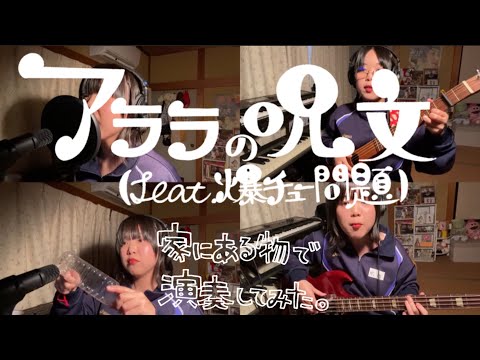 【家にあるもので】ちびまる子ちゃんエンディング【演奏してみた】