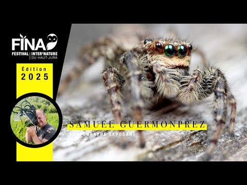 FINA2025 - Exposant #6 Samuel GUERMONPREZ