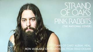 Strand Of Oaks - &quot;Pink Rabbits&quot; (The National cover) (Official Audio)