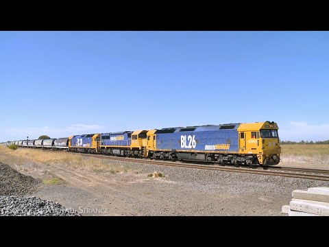 7731V Grain Train Approaching Gheringhap Loop (8/3/2024) - PoathTV Australian Railways