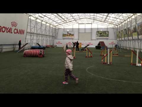 Tiina & Otto A2 Agility II 24.04.2016