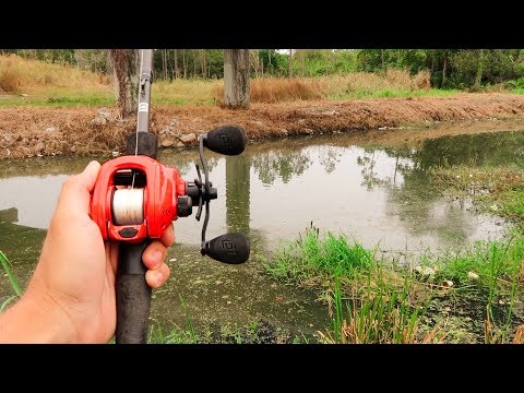 Fishing a SKETCHY Canal!!! (Surprise Catch)