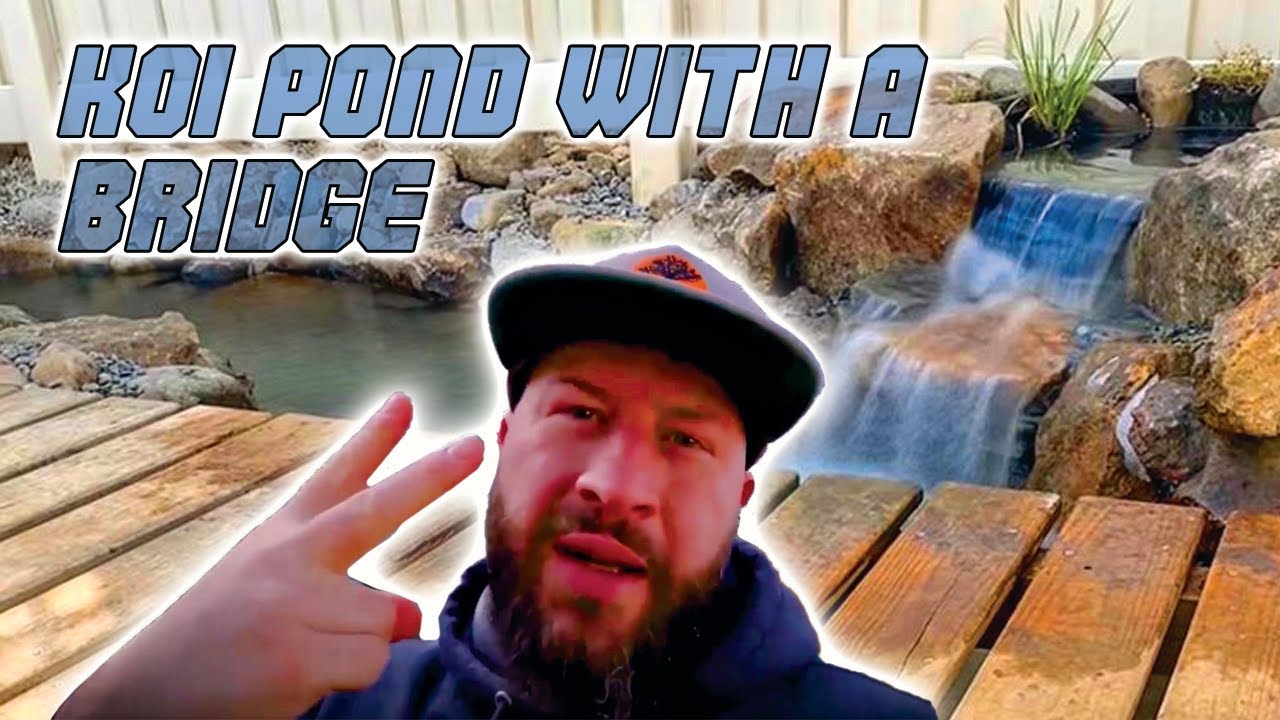 KOI POND with a BRIDGE *Amazing Renovation* 😲😲😲😲😲😲😲
