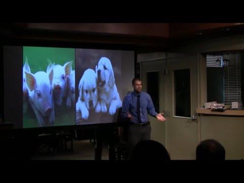 101 Причина стать веганом