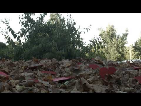 SAM THE KID - OBSESSÃO ( FEAT. VALETE , ANIYAH E DAVID CRUZ)