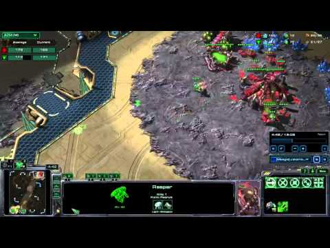 TvZ 10:30 Timing Attack