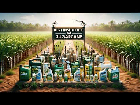 🦟 Compare-N-Save Concentrate Indoor and Outdoor Insect Control | Best Insecticide for Sugarcane 🦟