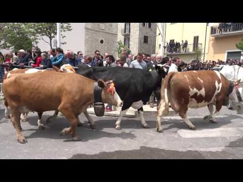 SANTA CROCE DI MAGLIANO: BENEDIZIONE DEGLI ANIMALI Part  2 Video 00016