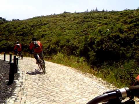 Gang da amoreira em Murches