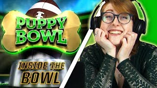 Irish People Watch The Puppy Bowl For The First Time