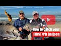 The Basics Of Galjoen Fishing Galjoen Tips Techniques ASFN Rock Surf