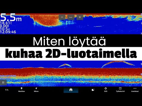 Miten löytää kuhaa 2D-luotaimen avulla