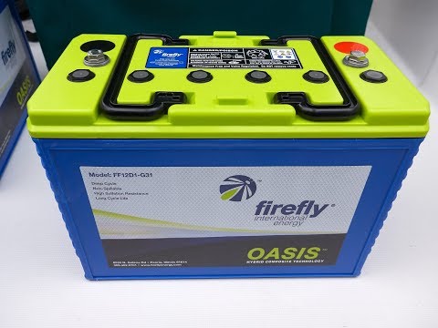 download lagu mp3 mp4 Firefly Oasis, download lagu Firefly Oasis gratis, unduh video klip Firefly Oasis
