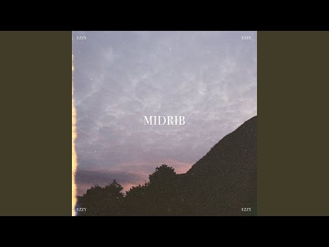 midrib