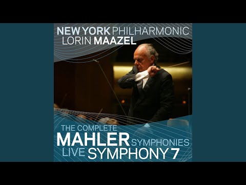 Symphony No. 7: V. Rondo-Finale: Tempo I