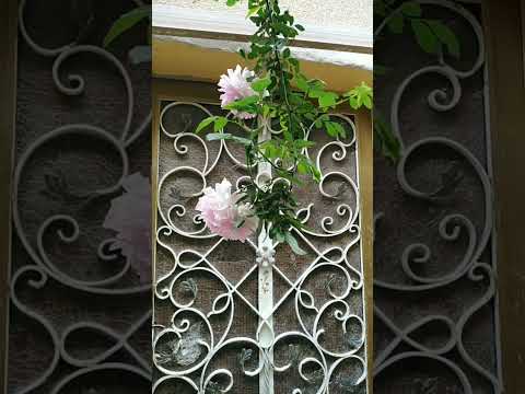 31 كانون الثاني، 2024