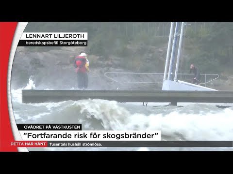 Ett femtontal stormskador i Göteborg - Nyheterna (TV4)