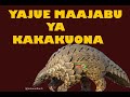 MAAJABU YA KAKAKUONA