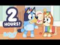 The Magic Xylophone Throwback To Bluey S First Episode 2 HOURS Of Clips Bluey