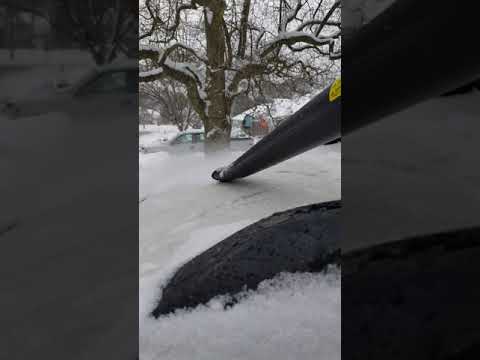 User submitted video