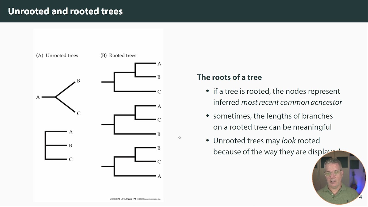 Phylogenetic trees: the basics