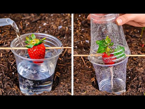 本当に効果のある驚きのガーデニングのコツとテクニック☘🌹