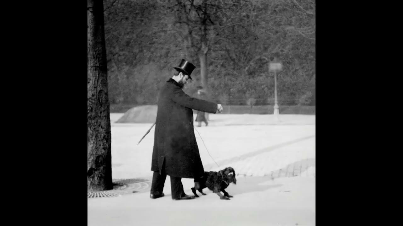 CHIEN CANICHE NOIR SAUTANT 1896 1897 Silent film Étienne Jules Marey