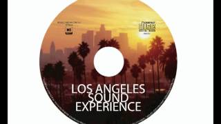 HiMusic L A  Sound Experience Groovy Sunset 2004