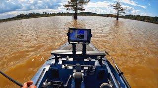 First time fishing Toledo Bend Reservoir