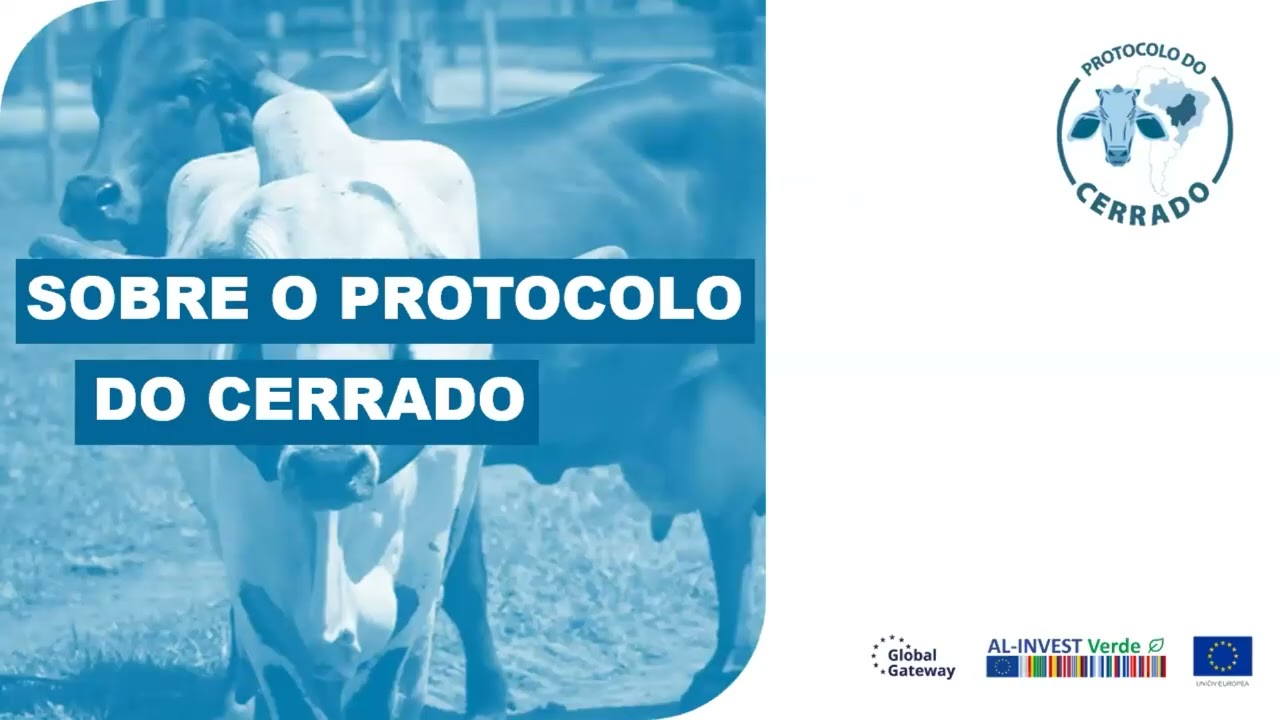 Protocolo do Cerrado - 1º Webinar - Implementação (03/12/2025)