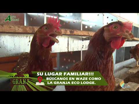 Ganadera San Francisco