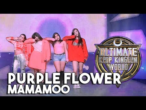 [#KKWENTERTAINMENT] Purple Flower - MAMAMOO(마마무) _ gogobebe(고고베베) Dance Cover - @Kkwentertainment