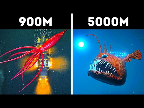 Trójwymiarowa podróż w oceaniczne głębiny