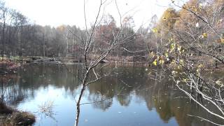 晩秋の高原 Late fall.