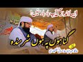 Gunahon Pe Hoon Sharminda ILahi Darguzar Kar Dy Hafiz Abdulbasit Hassani Naqshbandi Al Ward TV