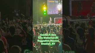 Goodas Fi Dem Performance by Tony Matterhorn | Day 2 Reggaefest Massive | Brooklyn, NY