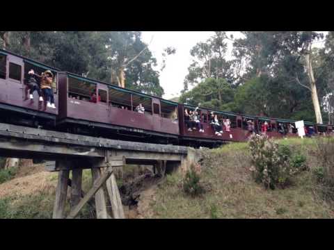 Puffing Billy Melbourne