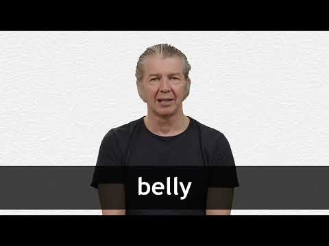 BELLY definition and meaning Collins English Dictionary