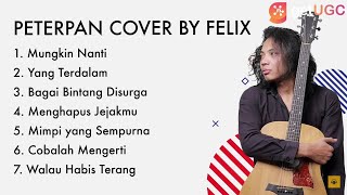 Download Lagu Felix Irawan Cover Peterpan MP3 dan Video MP4 Gratis