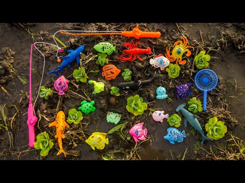 Memancing ikan mainan di sawah, udang lobster, kepiting, kura kura, keong,