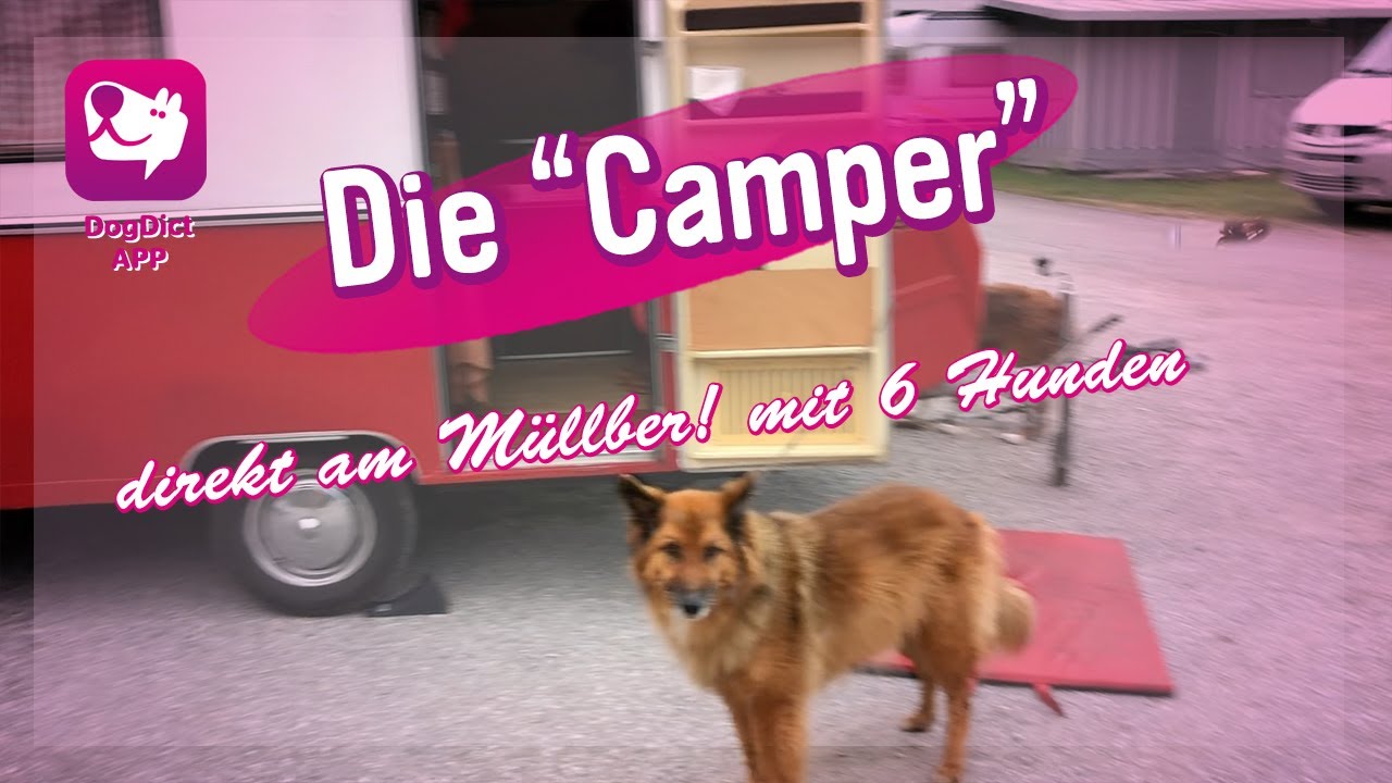 Folge 31: Die Camper | Showeinlage mit Kindern