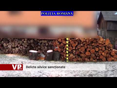 Delicte silvice sancționate